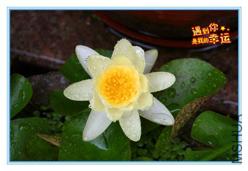 ��Ƭ 015_����.jpg