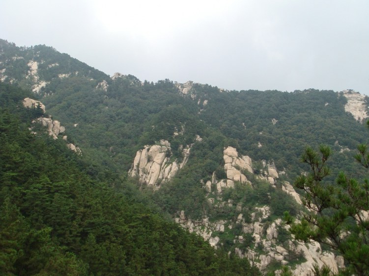 DSC00786.JPG