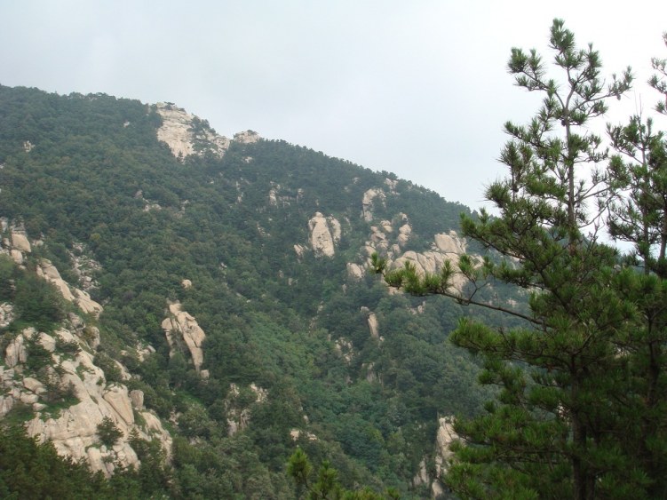 DSC00787.JPG