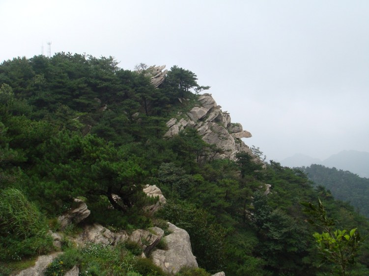 DSC00793.JPG