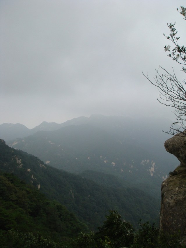 DSC00799.JPG