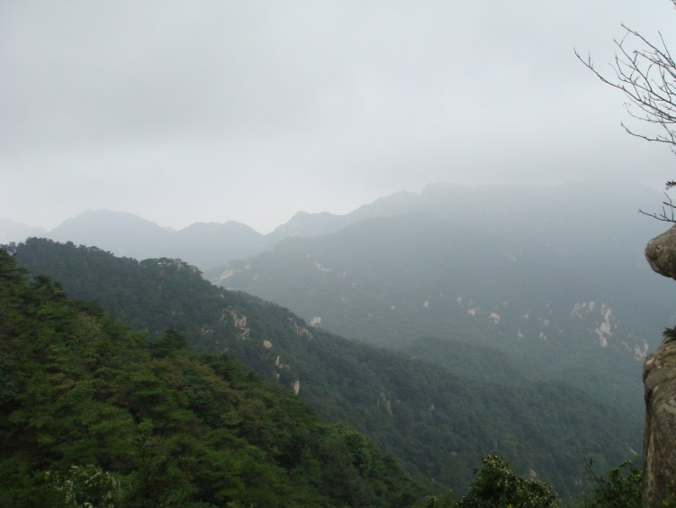 DSC00800.JPG