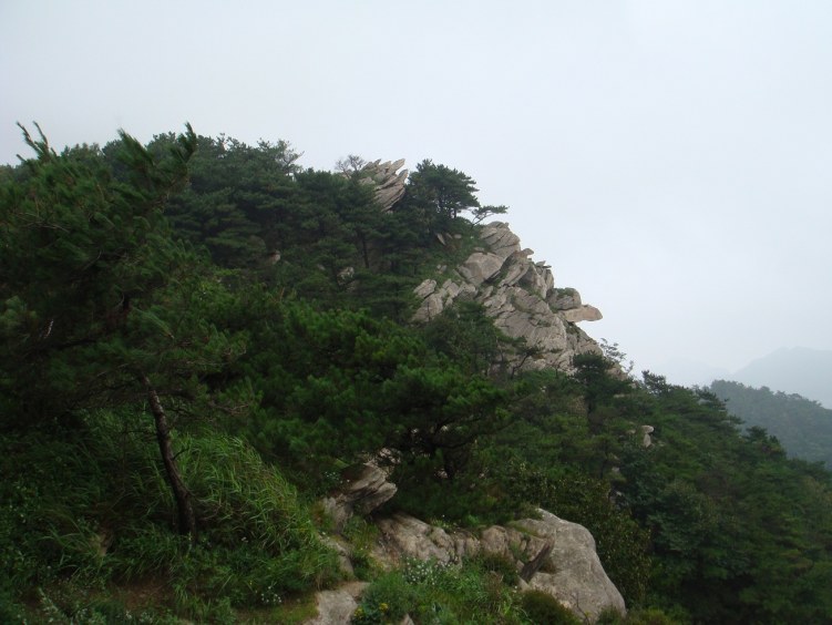 DSC00803.JPG