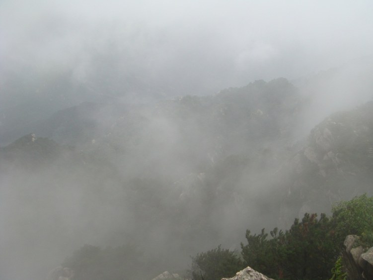 DSC00813.JPG