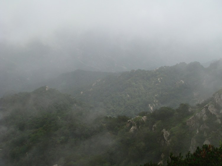 DSC00815.JPG