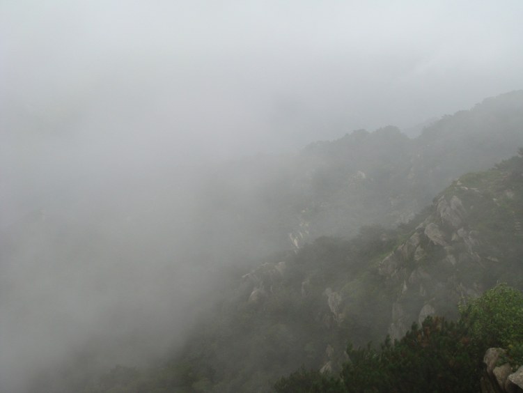 DSC00816.JPG