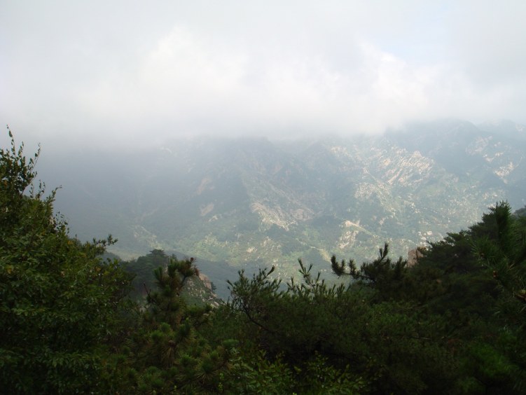 DSC00827.JPG