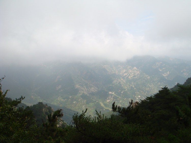 DSC00828.JPG