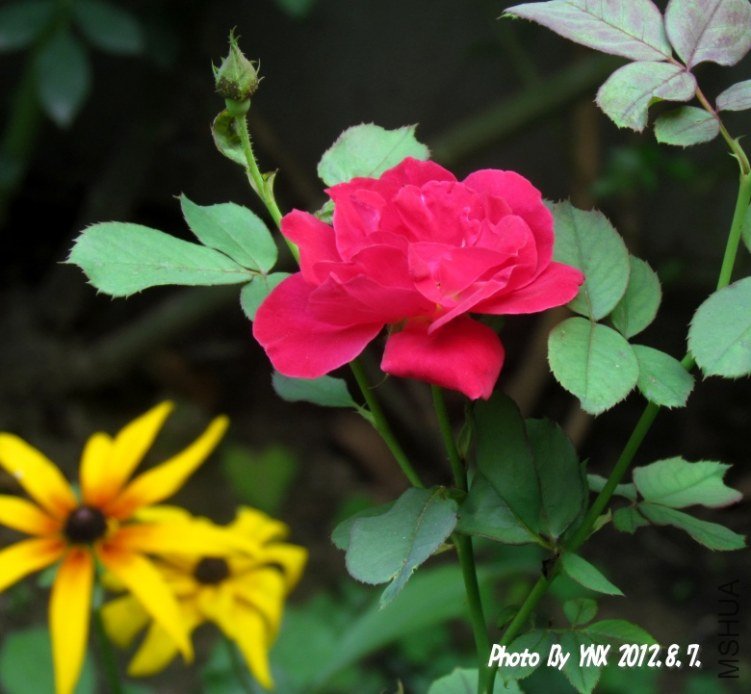 2012.8.7. 013_conew1.jpg