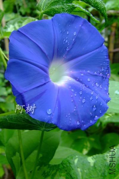 ��֮�� 2012-0718(015).jpg