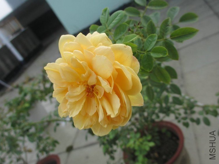 ��Ƭ 046.jpg