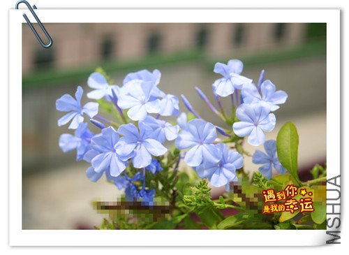 ��Ƭ 079_����.jpg