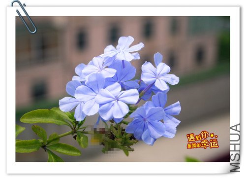 ��Ƭ 083_����.jpg