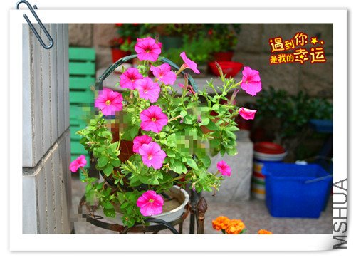 ��Ƭ 117_����.jpg