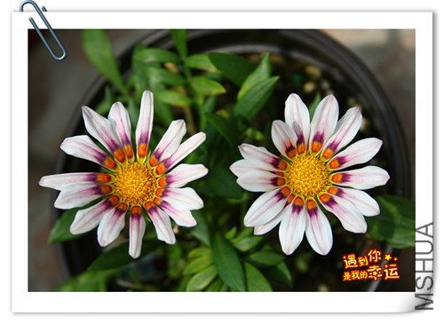 ��Ƭ 055_��ת_����.jpg