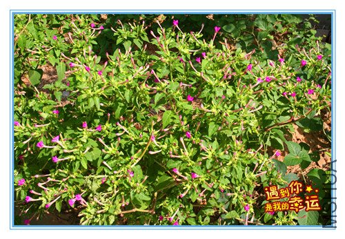 ��Ƭ 025_����1.jpg