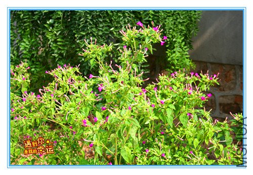 ��Ƭ 026_����1.jpg