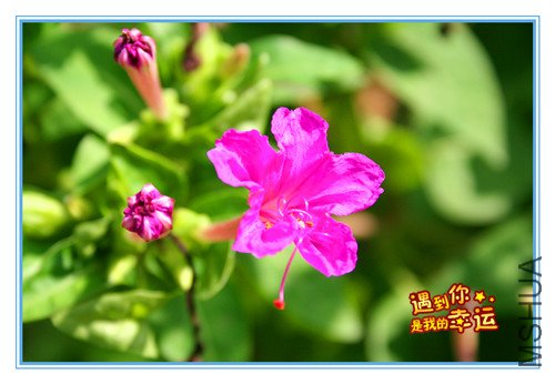 ��Ƭ 028_����1.jpg