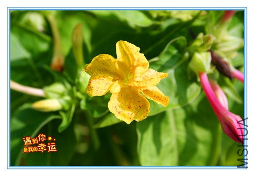 ��Ƭ 031_����.jpg