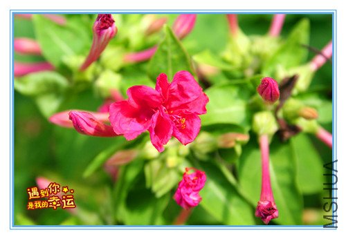 ��Ƭ 032_����.jpg