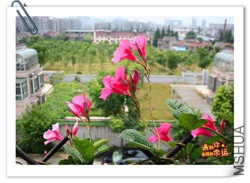 ��Ƭ 031_����.jpg