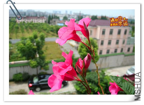 ��Ƭ 033_����.jpg