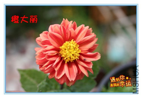 ��Ƭ 002_����.jpg