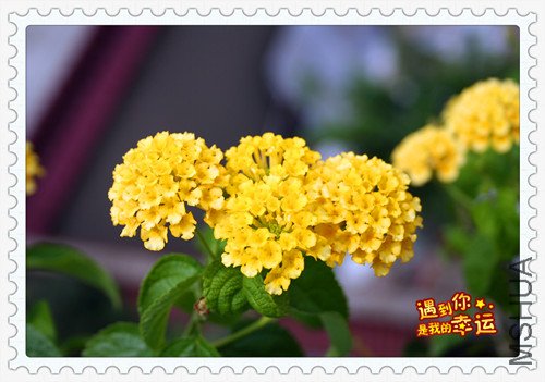 ��Ƭ 040_����.jpg