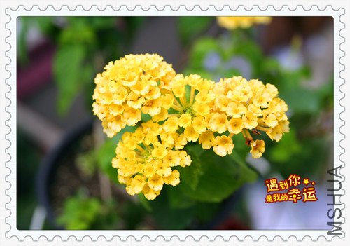 ��Ƭ 042_����.jpg