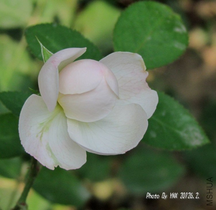 2012.6.2. 035_conew1.jpg