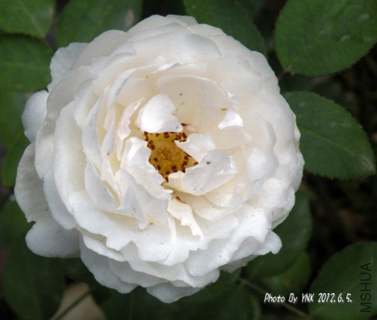 2012.6.5. 006_conew1.jpg