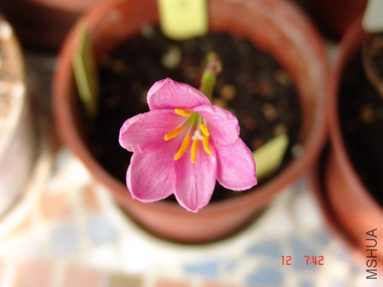 DSC07609_��С��С.JPG