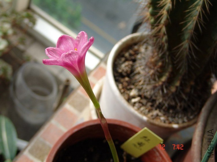 DSC07610_��С��С.JPG