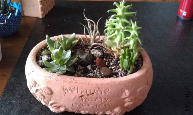 QQ��ͼ20120812142756.jpg
