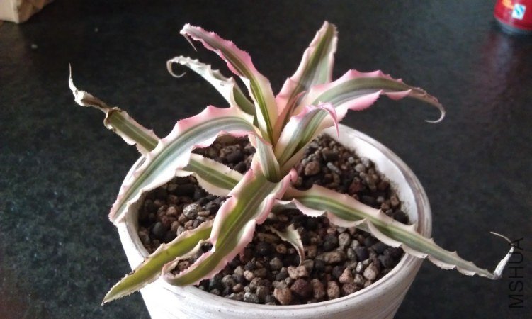 QQ��ͼ20120812142823.jpg