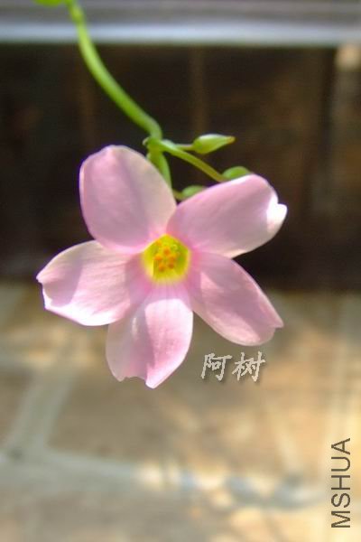 DSCF6099.jpg