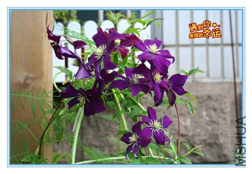 ��Ƭ 020_����2.jpg