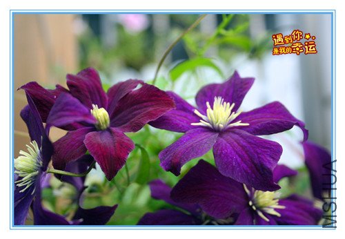 ��Ƭ 022_����2.jpg