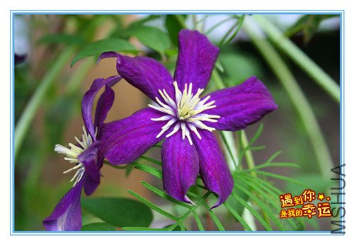 ��Ƭ 026_����2.jpg