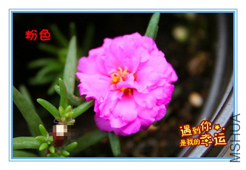 ��Ƭ 020_������ɫ.jpg