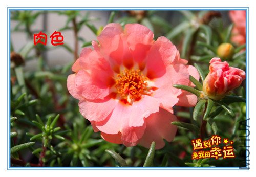 ��Ƭ 023_����.jpg