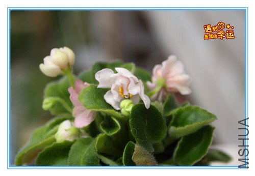 ��Ƭ 031_����.jpg