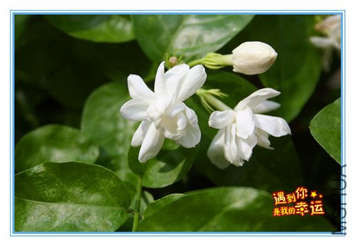 ��Ƭ 091_��ת_����.jpg