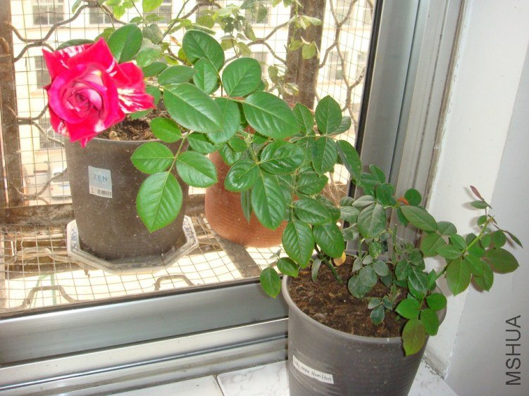 DSC00858.JPG