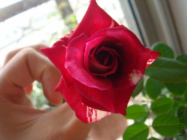 DSC00860.JPG
