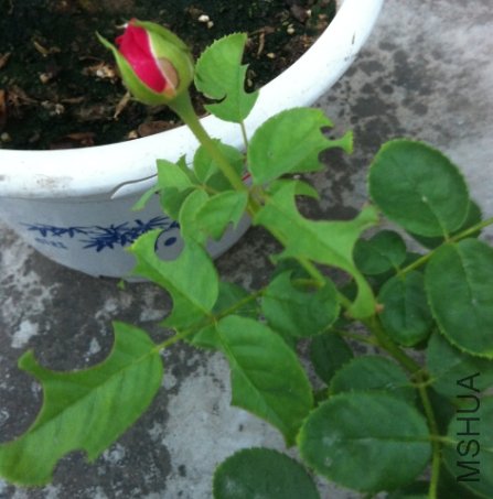 ���ݹ���С��