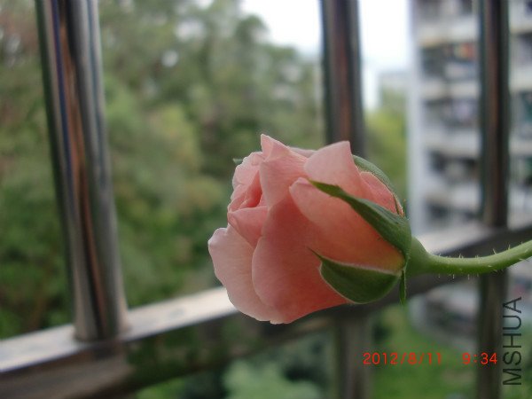 CIMG2435_meitu_3.jpg