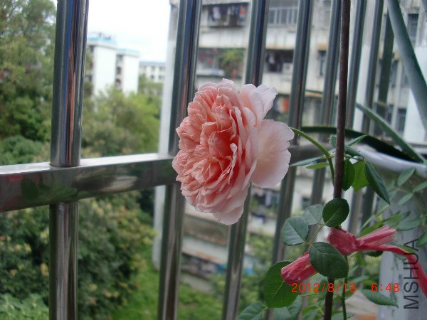 CIMG2443_meitu_11.jpg