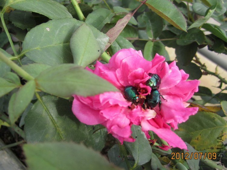 IMG_3920.jpg