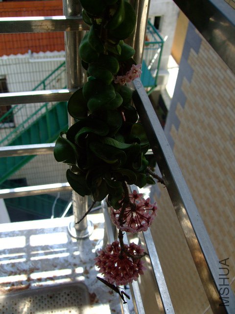 DSCF0881.JPG
